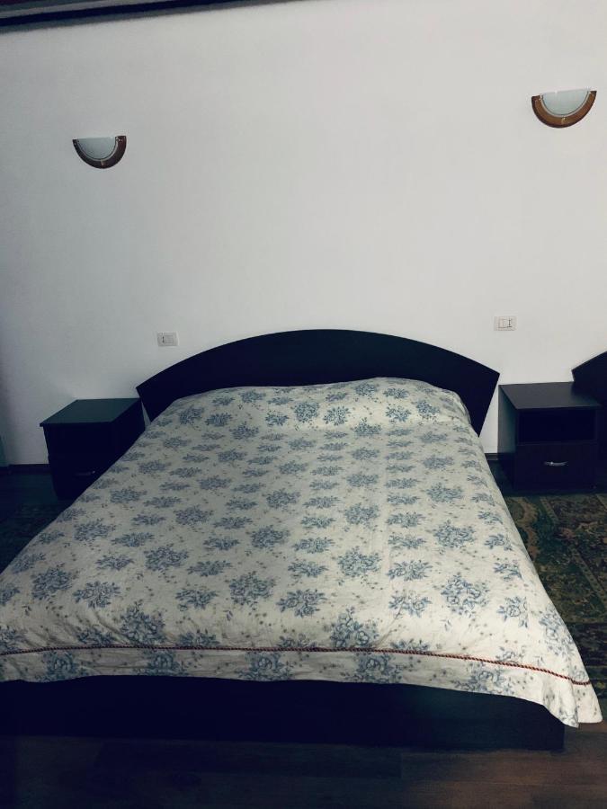 Pensiunea Pietrosul Borşa 外观 照片